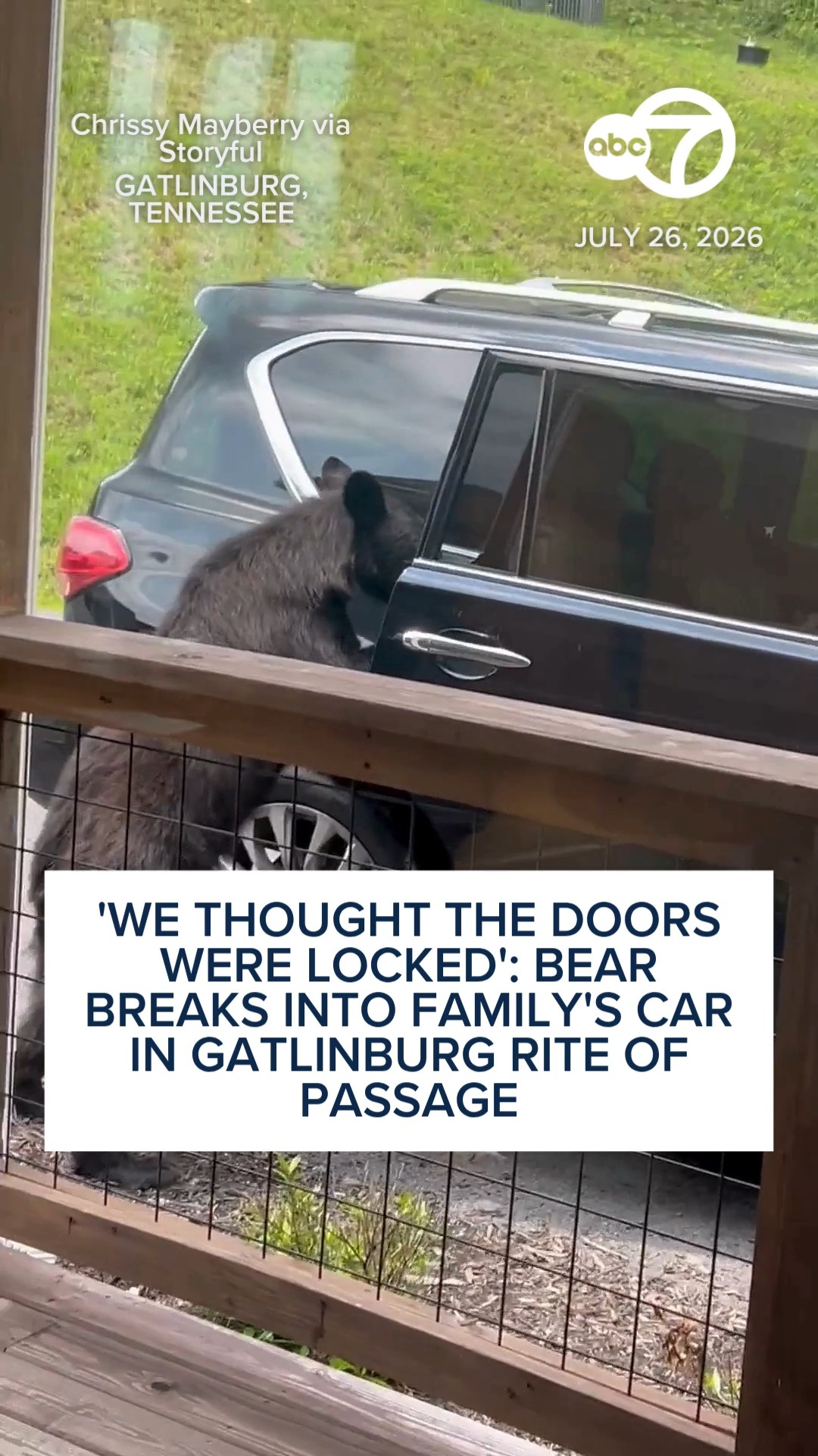 Bear breaks into family's car in Gatlinburg rite of passage