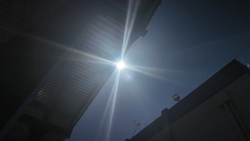 Heat wave prompts health experts to urge checks on seniors and pets