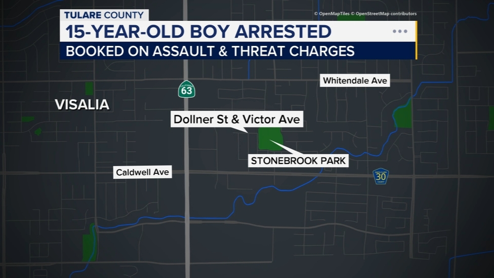Teen arrested in Visalia on assault and threat charges