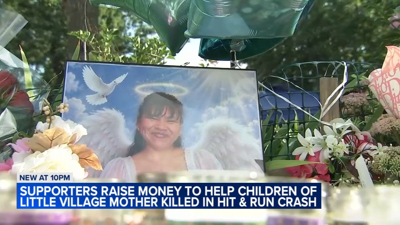 SW Side community mourns mom killed in hit-and-run: 'A great person'