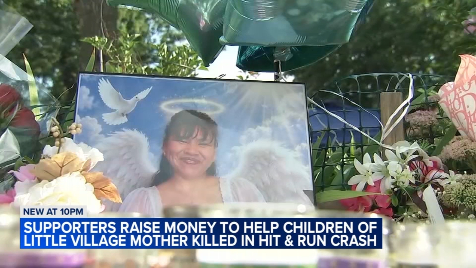 Little Village mourns mother of 4 killed by hit-and-run driver in crosswalk: 'Everybody knew her'