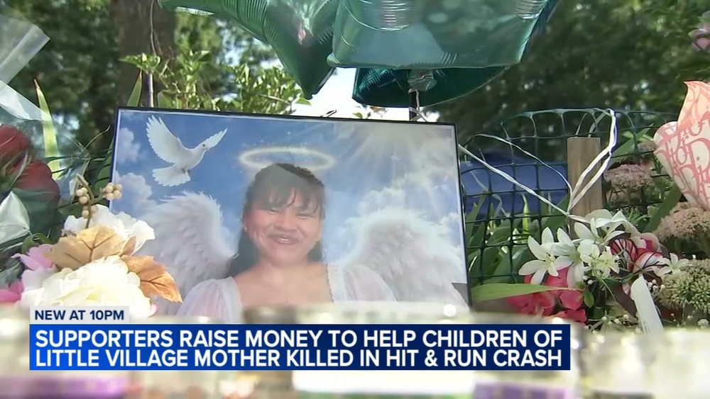 SW Side community mourns mom killed in hit-and-run: 'A great person'