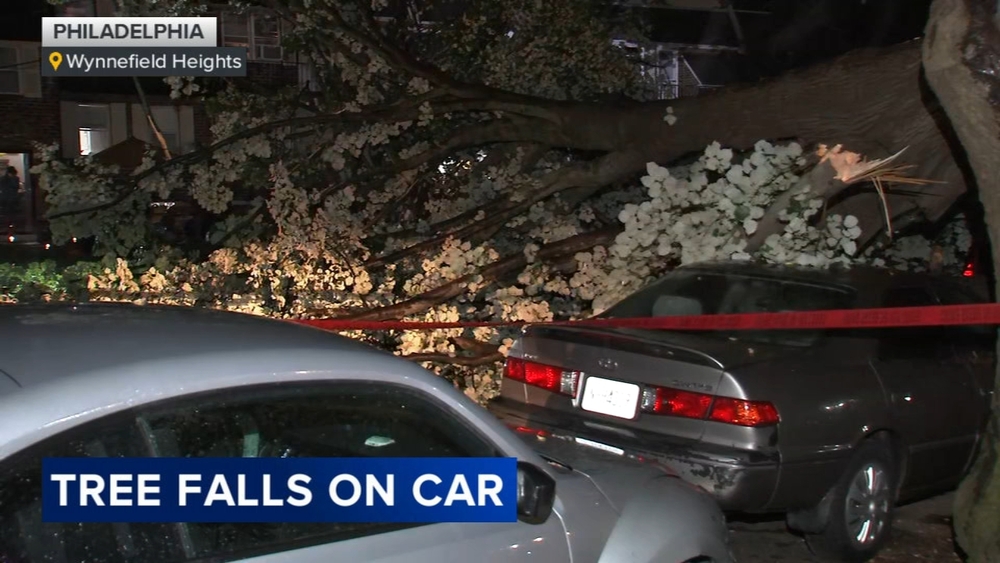 Vehicle damaged by fallen tree in Wynnefield Heights