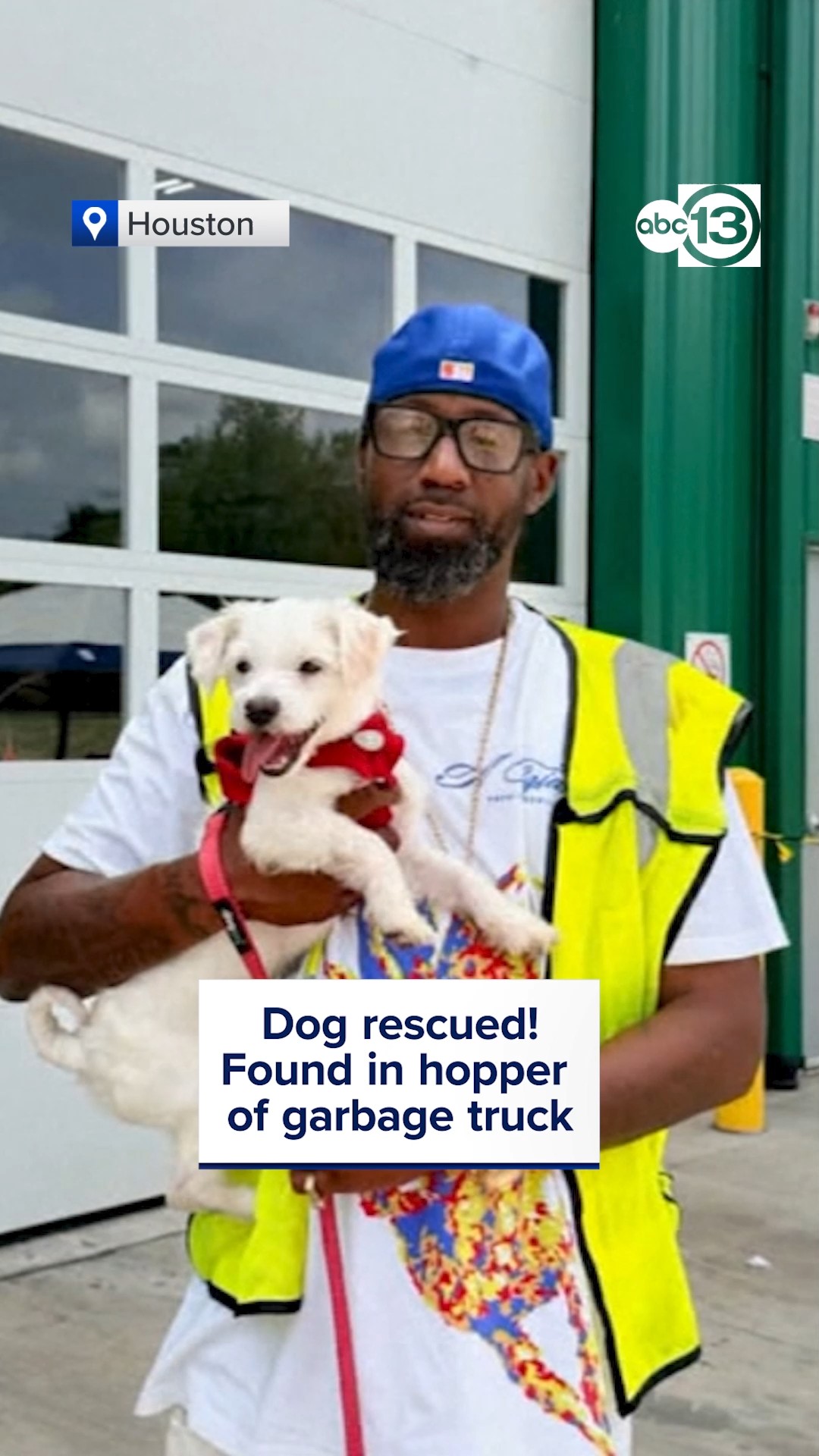 Found in the hopper of a Houston dump truck, dog finds fur ever home!