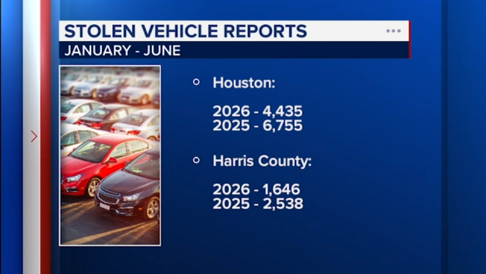 Houston police detail large stolen vehicle bust