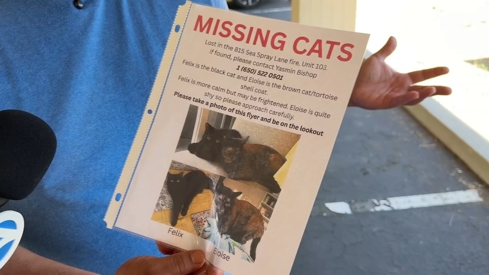 Two cats missing after Foster City condo complex fire