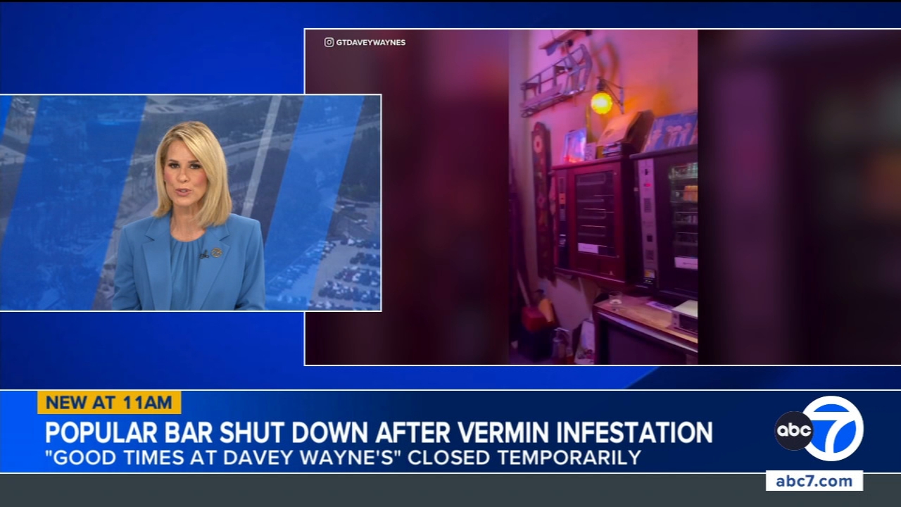 Popular Hollywood bar temporarily closes over vermin infestation