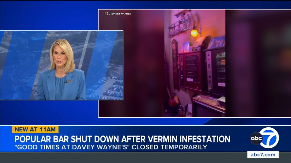 Popular Hollywood bar temporarily closes over vermin infestation