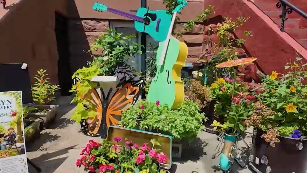 Crown Heights block wins 'Greenest Block in Brooklyn' annual contest