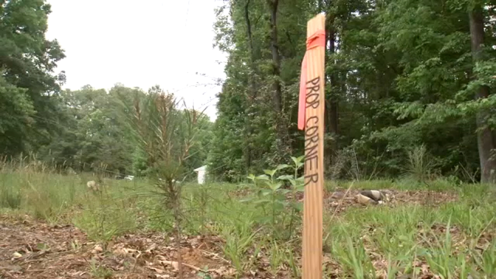 NC church property fraudulently sold through elaborate real estate scam without owner's knowledge
      