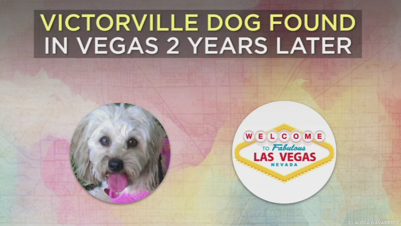 Victorville family reunited with long lost dog in Las Vegas - ABC7 Los ...