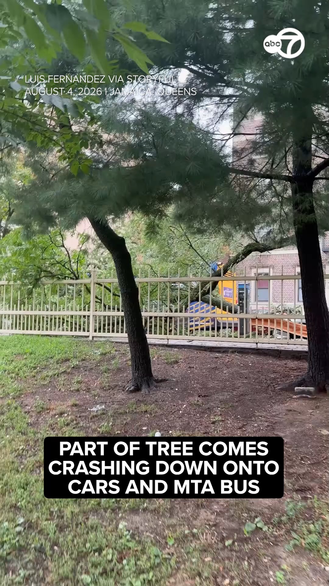 Part of tree comes crashing down onto cars and MTA bus