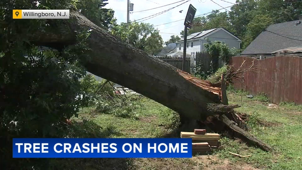 Family of 8 displaced after tree falls on home in Willingboro, New Jersey