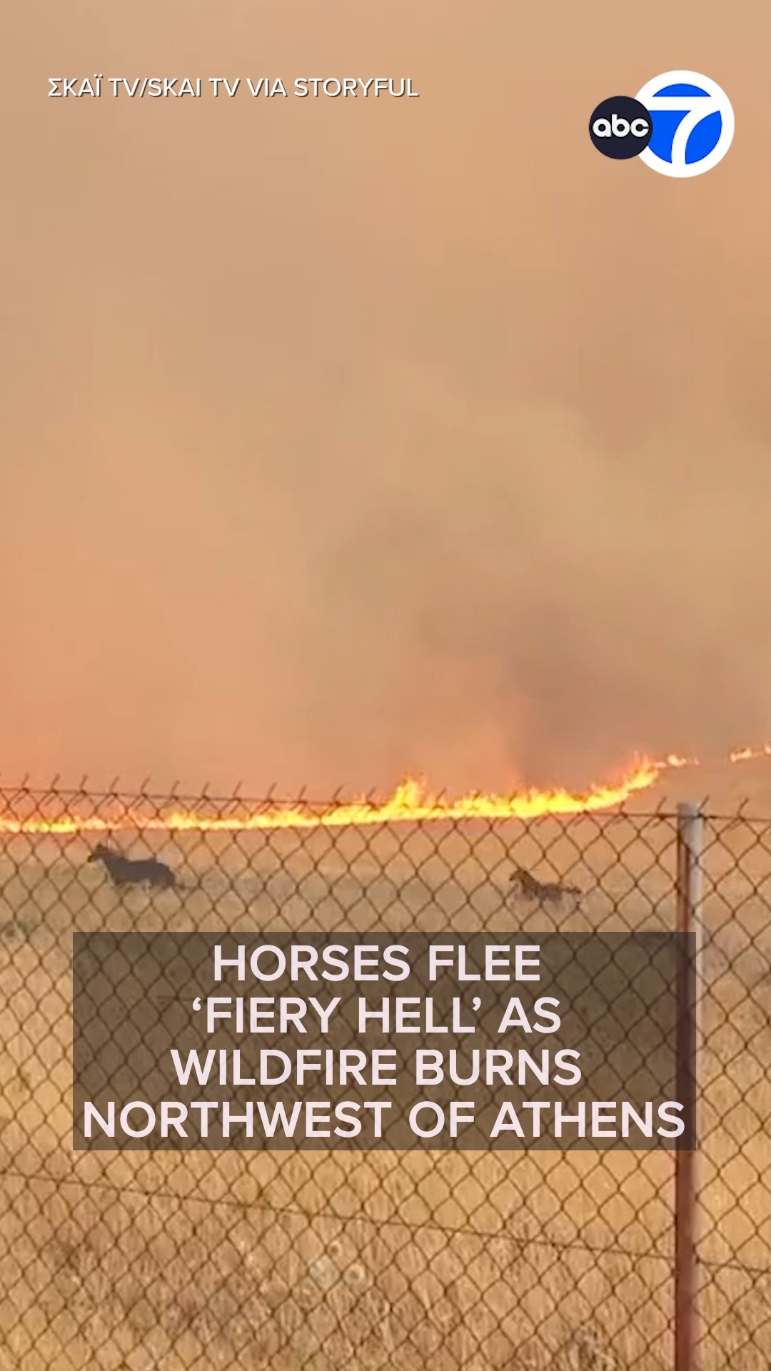 Horses flee wildfire burning near Athens, Greece
