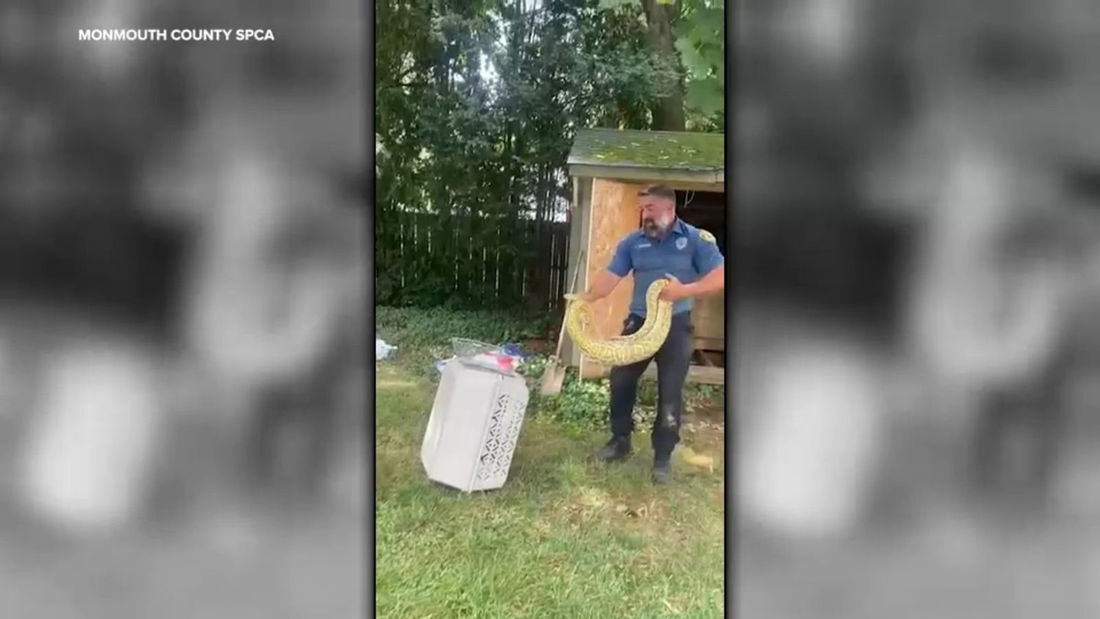 abc7ny.com