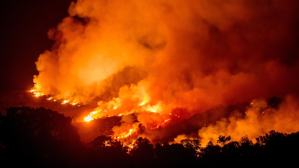 Man arrested, accused of starting Gann Fire says it began by accident