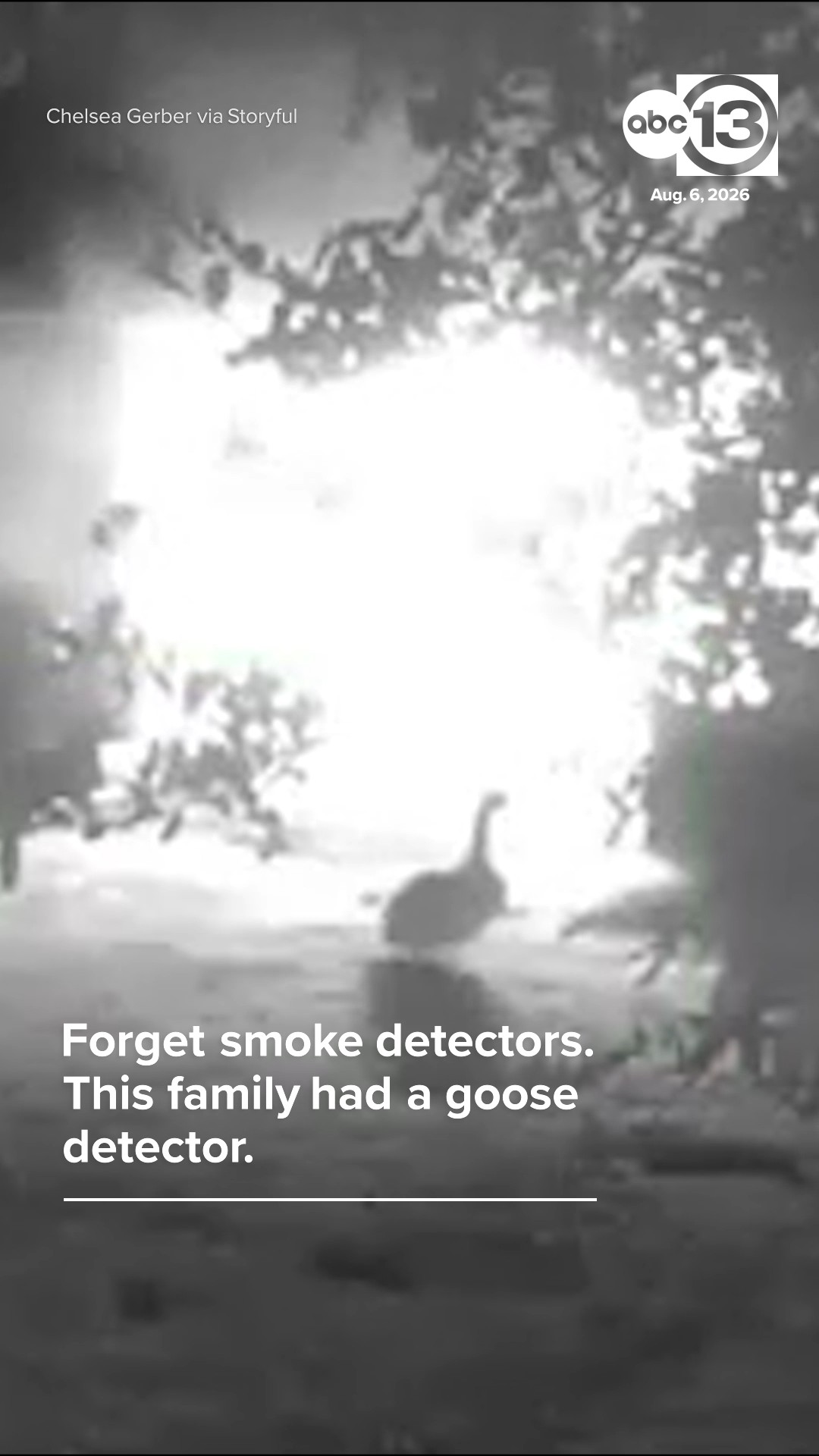 Goose Alert Fire Alarm