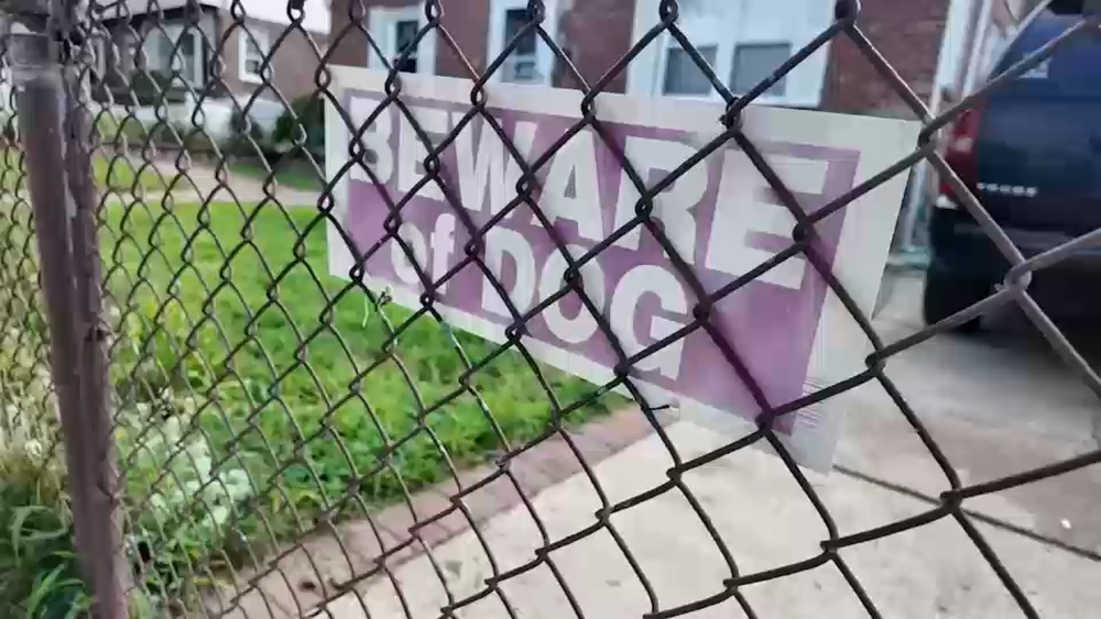 75-year-old woman attacked by her 2 pit bulls in Nassau County