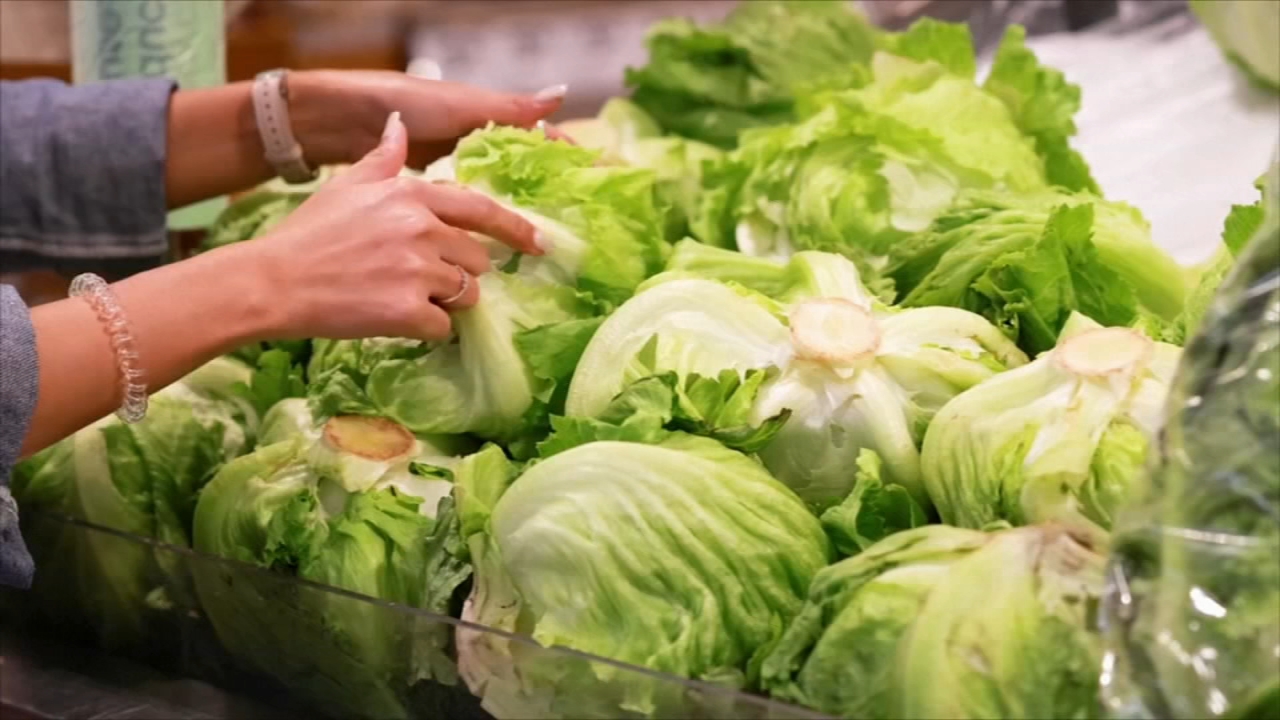 People can resume regular lettuce-eating habits, Michigan health officials say