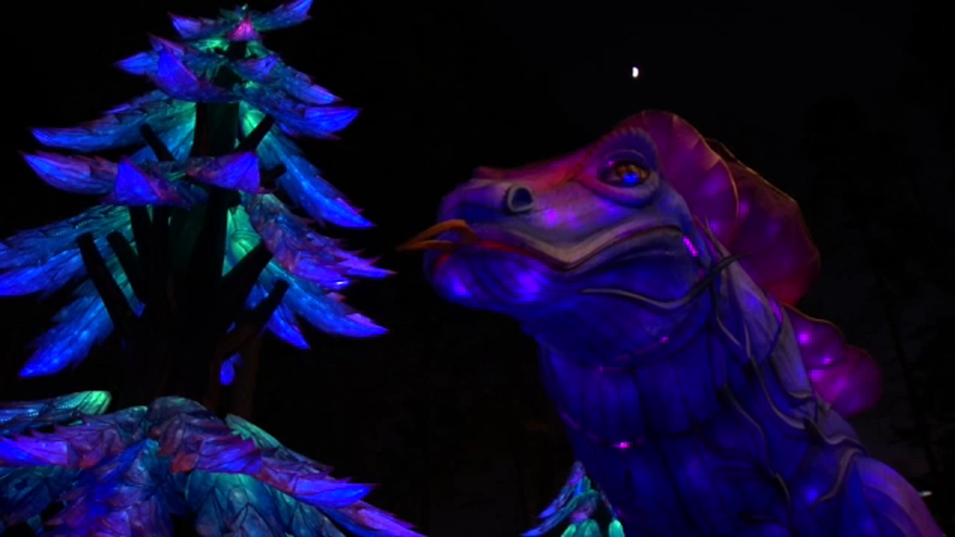 NC Chinese Lantern Festival back for 11th year