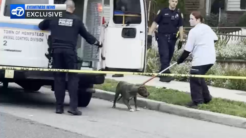 75-year-old woman attacked by her own 2 dogs on Long Island