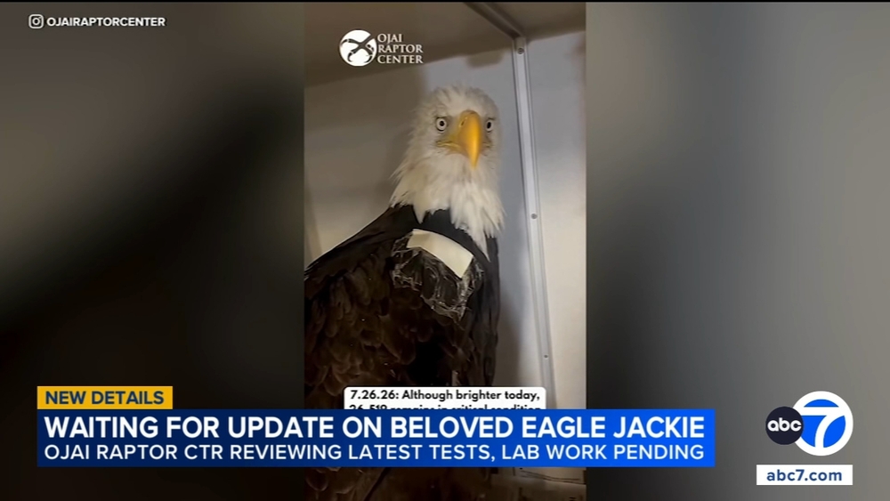 Public invited to send notes of encouragement for Jackie