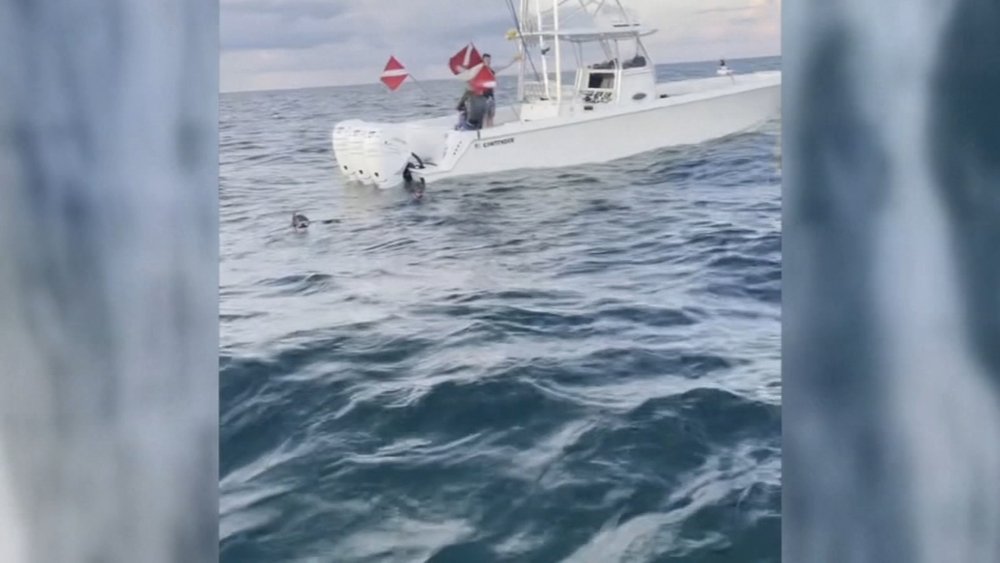 Florida man accused of turning off air supply of submerged teen diver
