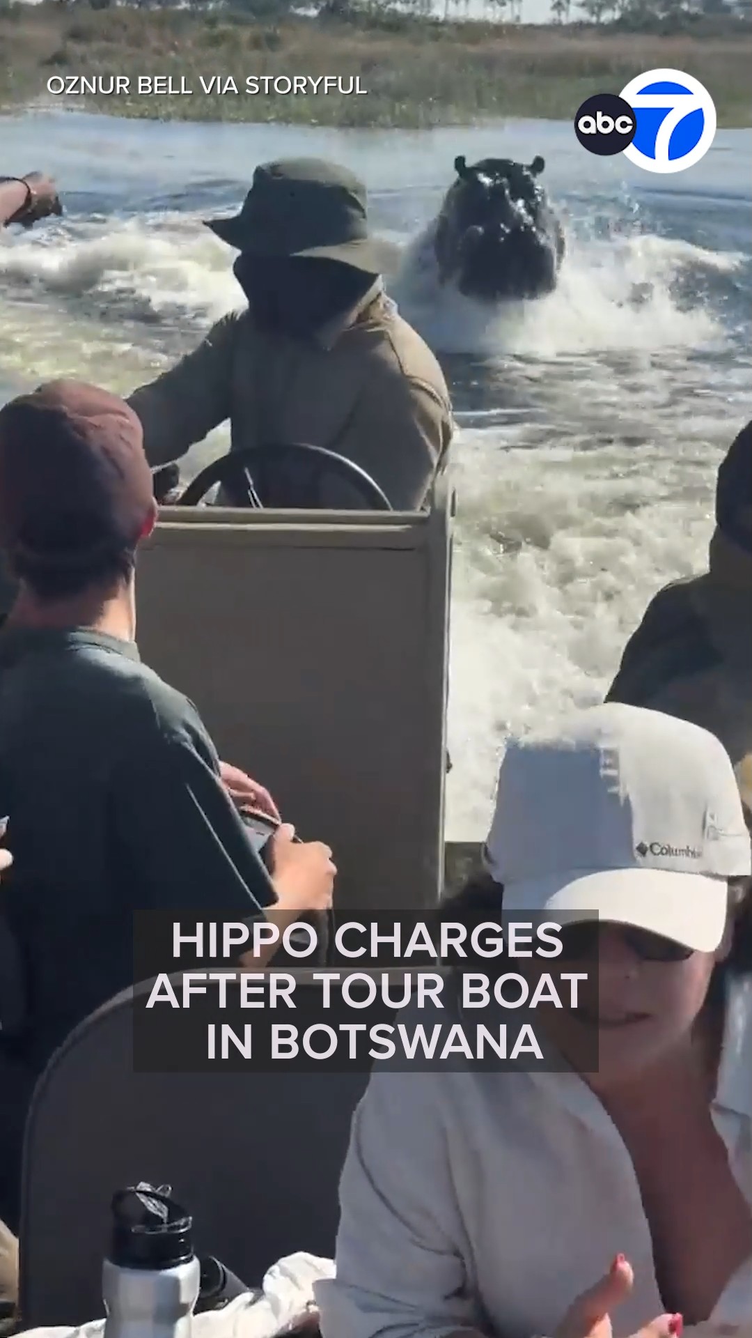 Hippo charges after tour boat in Botswana

