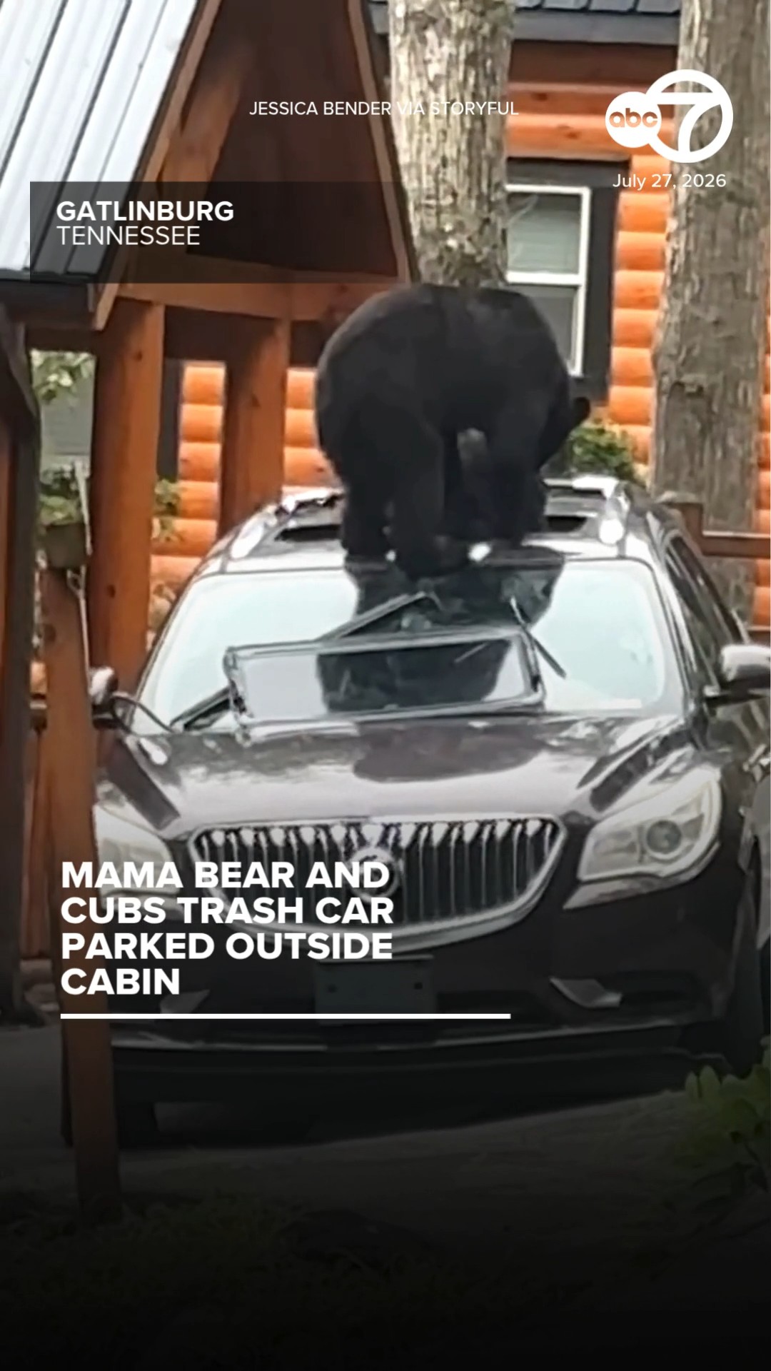 Mama bear and cubs trash car parked outside cabin