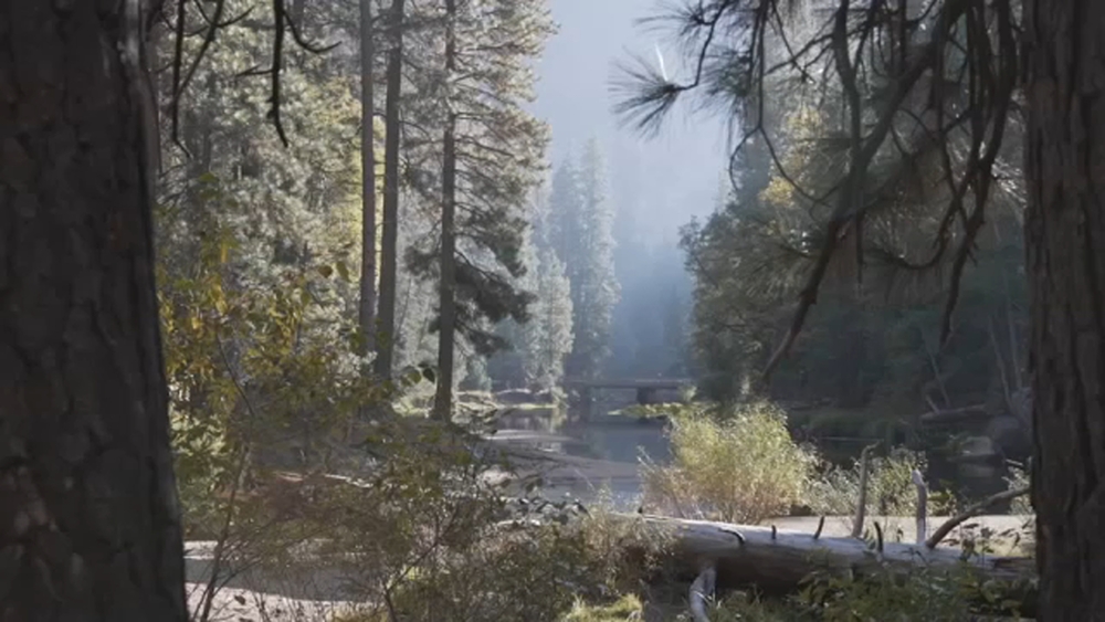 Yosemite NP warning visitors about 'summer branch drop' season