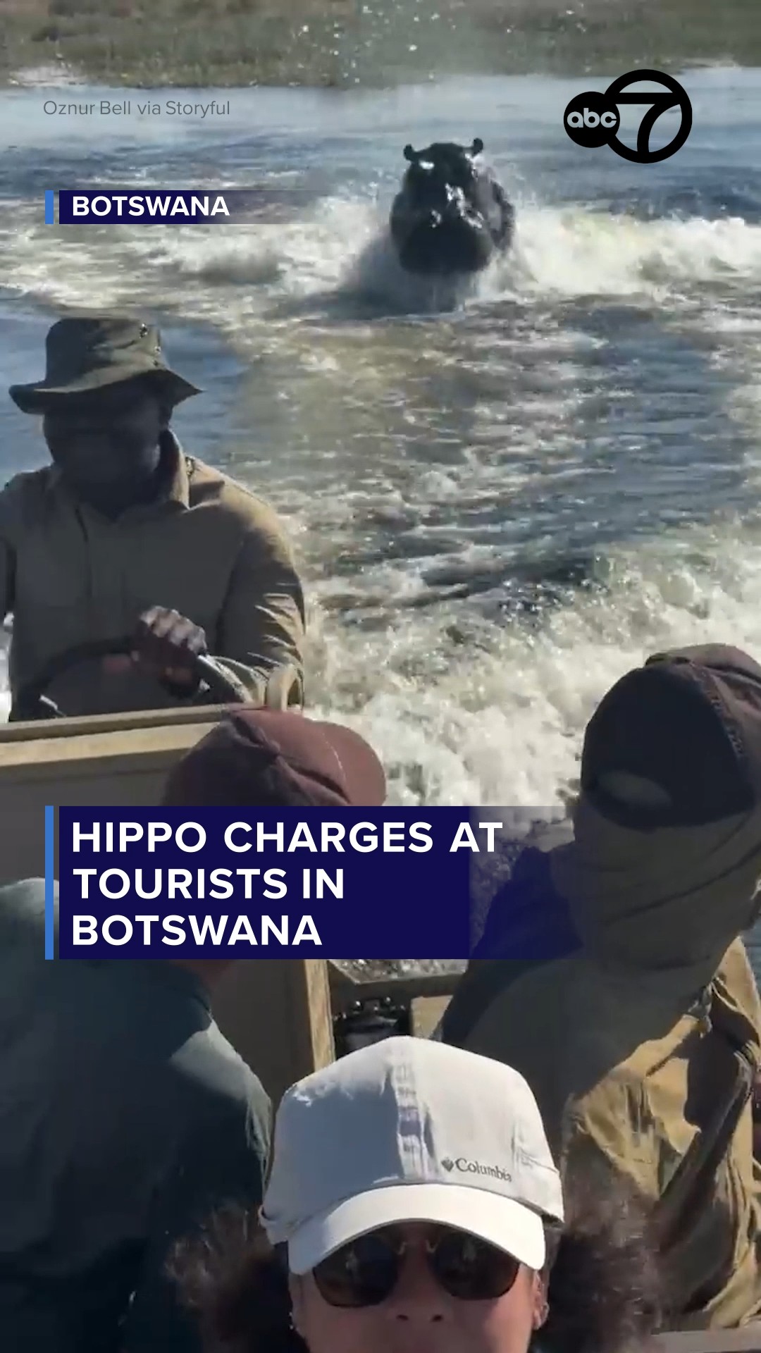 Tourists' boat ride turns into real-life Hungry Hungry Hippos