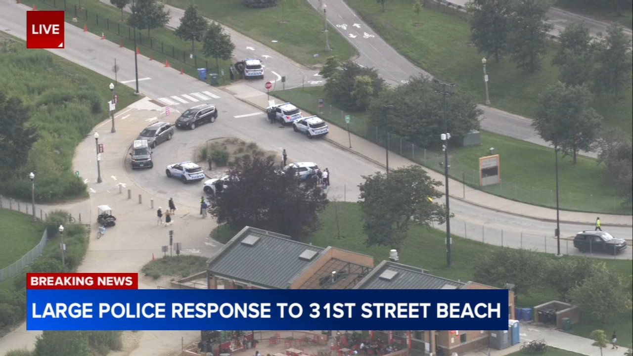 Chicago police respond to large fight at 31st Street Beach: Sources
