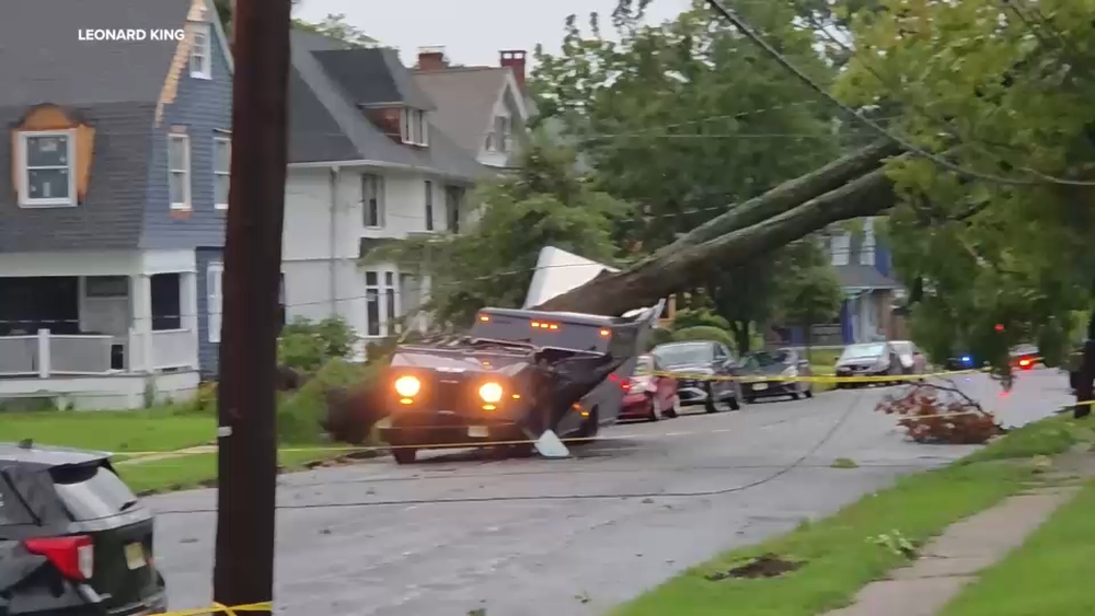 Fallen tree strikes Amazon delivery truck in Plainfield amid chaotic storms