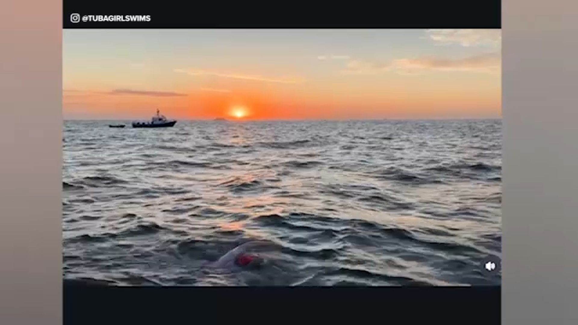 Raleigh Teenager Completes English Channel Swim
