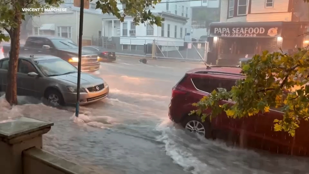 Storm cleanup continues after fallen trees, flash flooding hit Tri-State