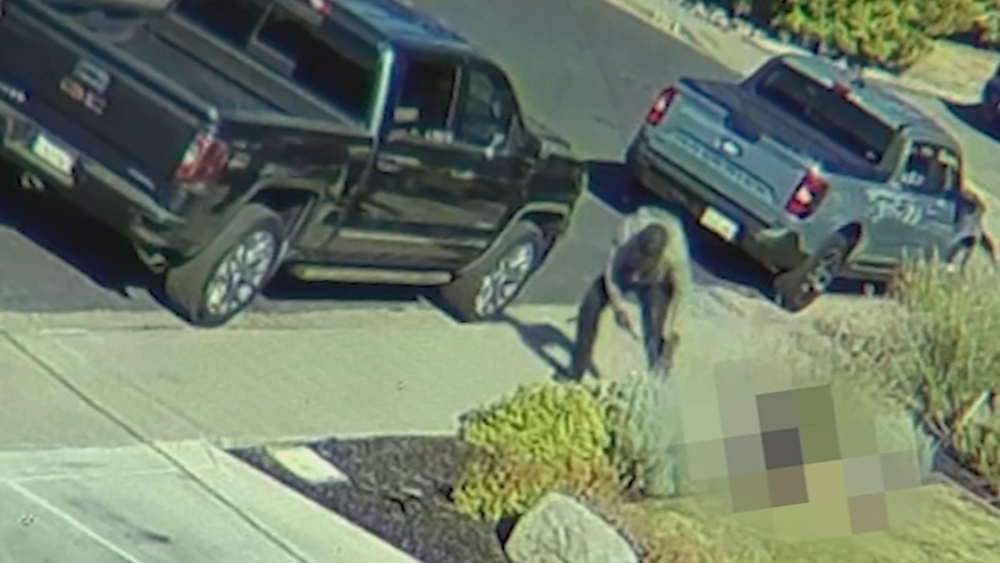 Martinez man arrested in fatal yard stabbing after jail release