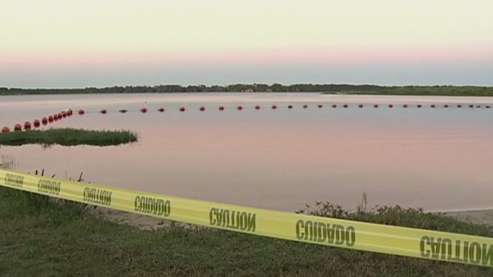 VIDEO: 10-year-old Florida girl bitten by alligator