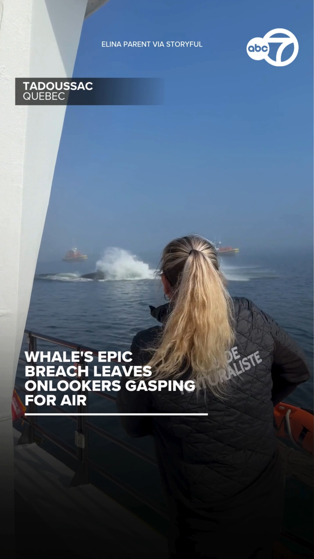 Whale's epic breach leaves onlookers gasping for air