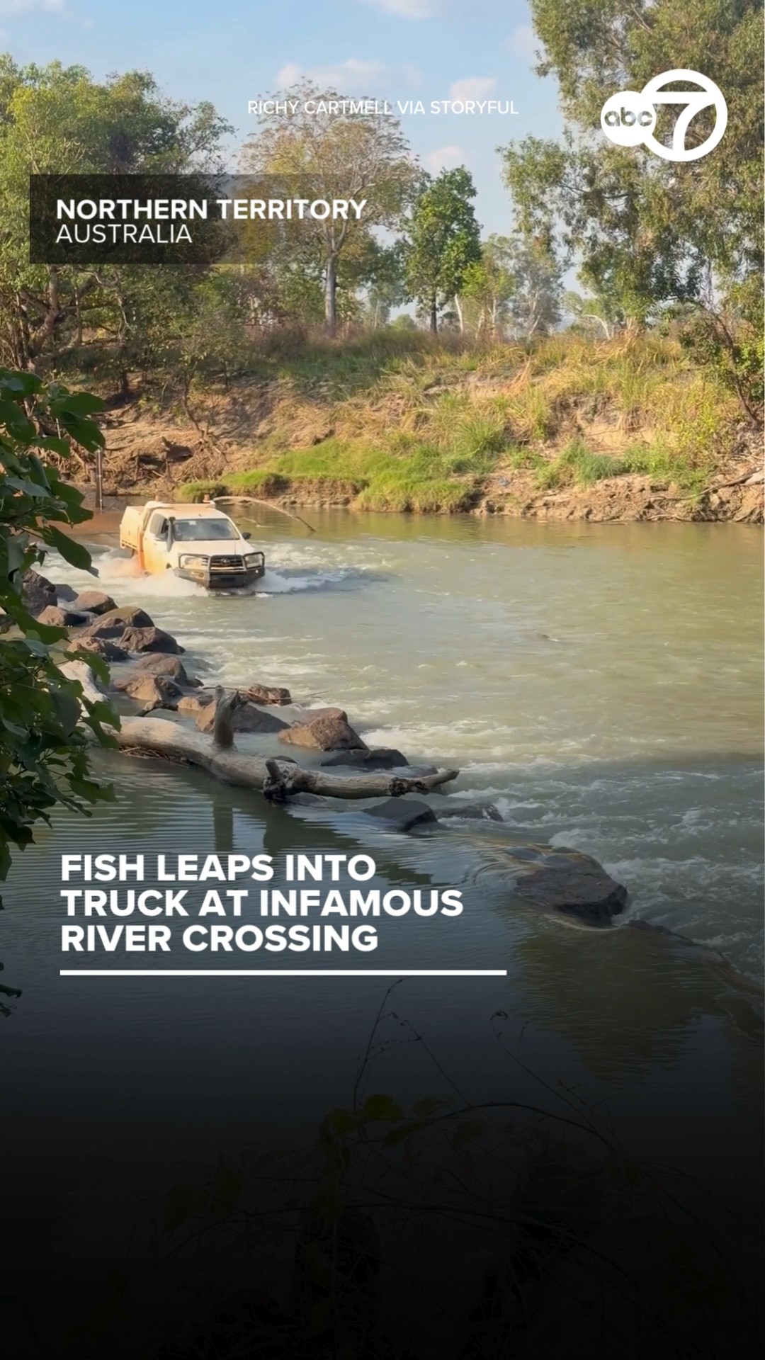 Fish leaps into truck at infamous river crossing