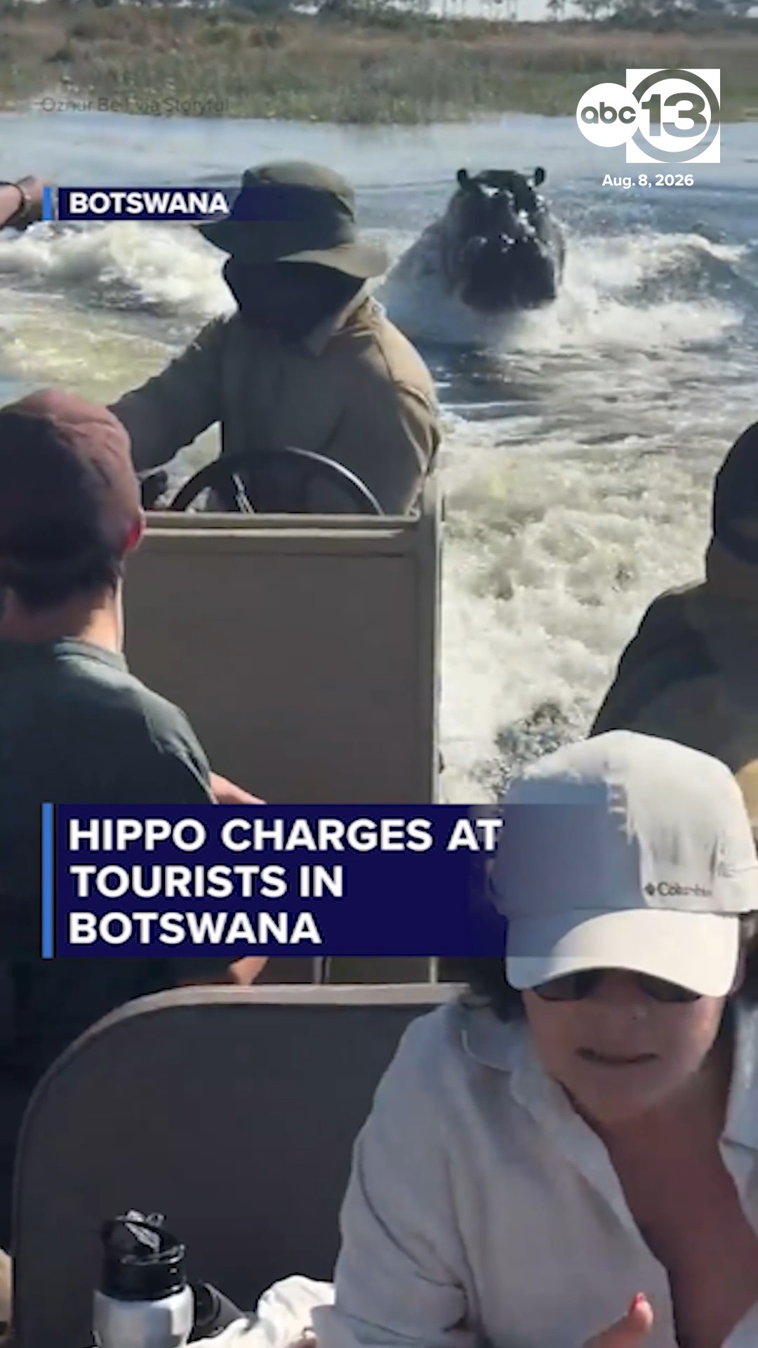 Hippo charges at tourists in Botswana