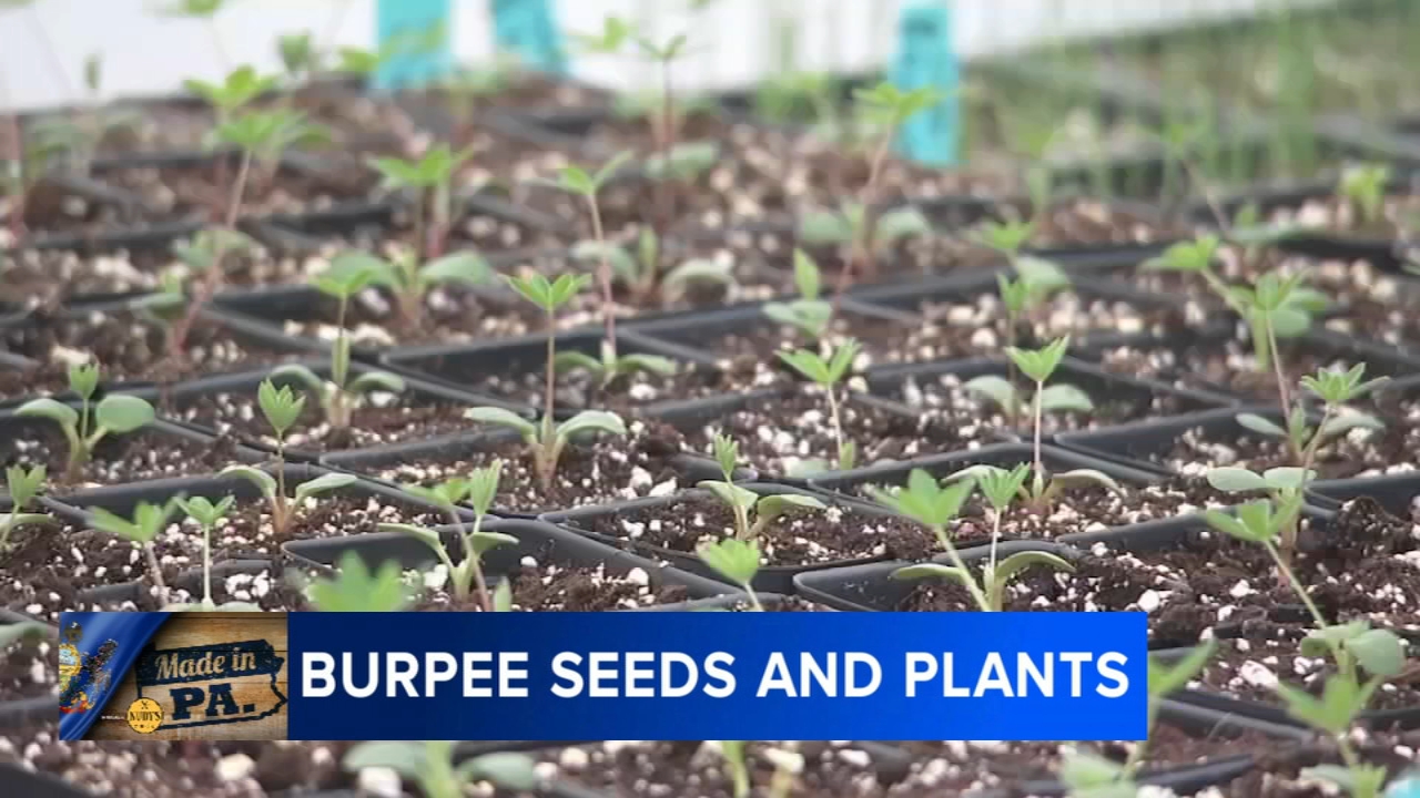 Burpee marks 150 years of gardening heritage in Bucks County