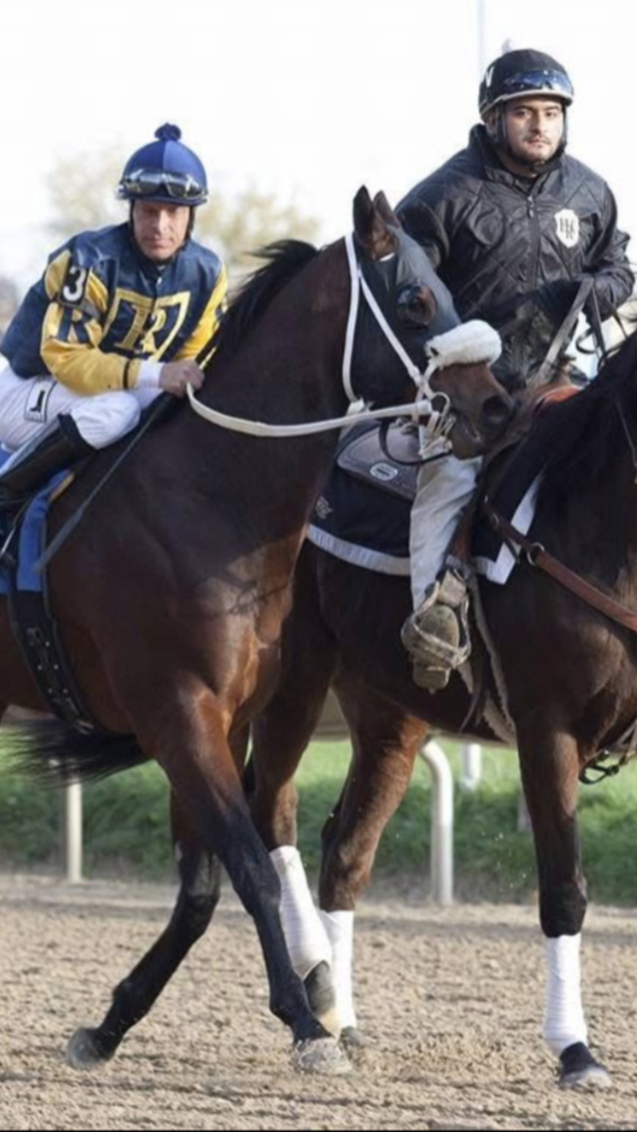 300 people displaced as judge approves Hawthorne Race Course sale