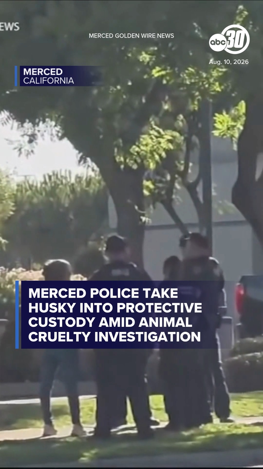 Merced police take husky into protective custody amid investigation