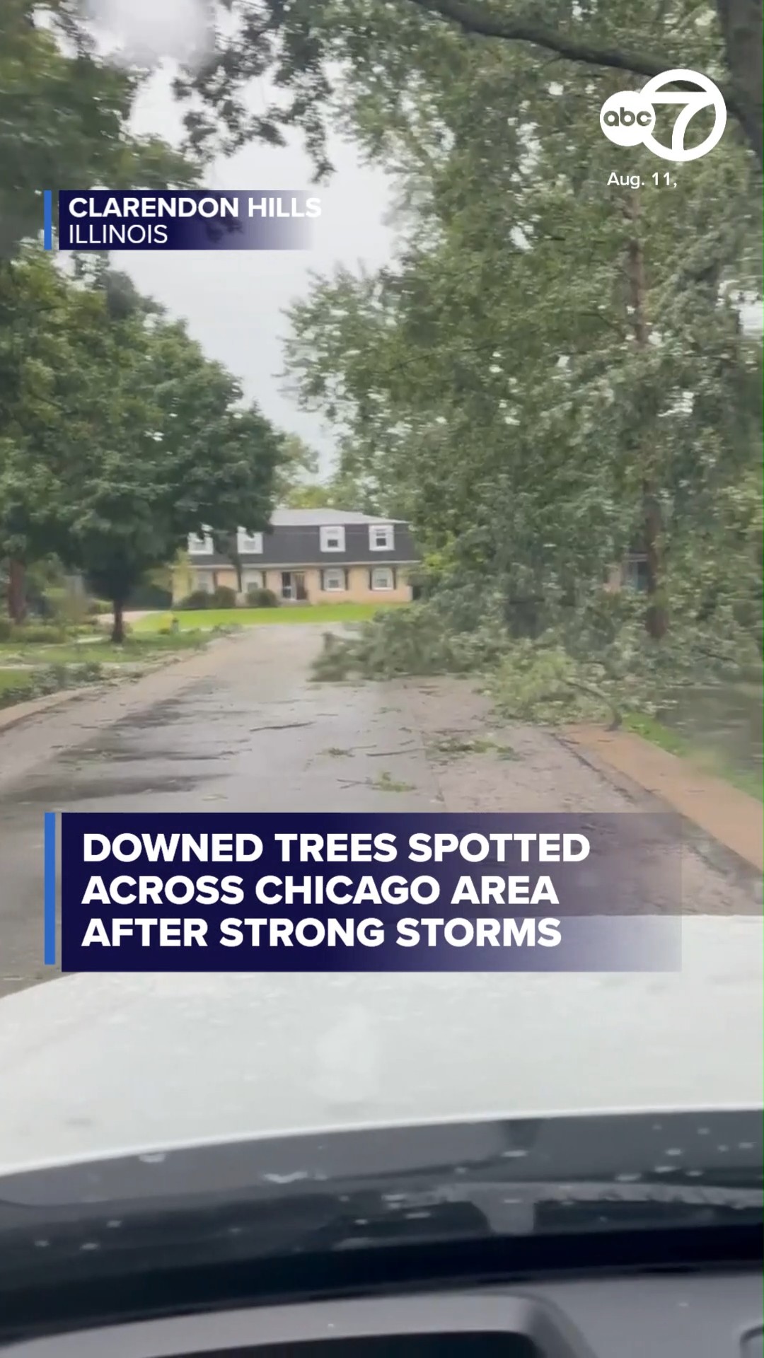 Clarendon Hills, IL damage after storms - August 11, 2026