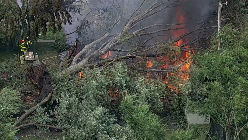 Large, downed tree burns in Gary after strong storms sweep through area
