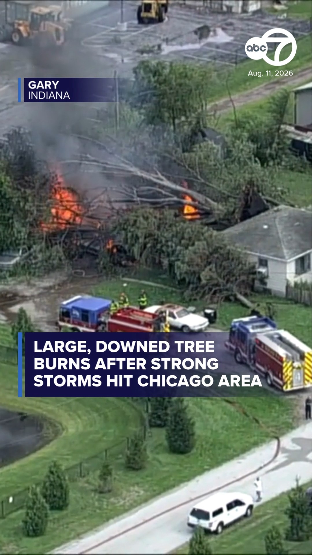 Large, downed tree burns in Gary after storms sweep through area