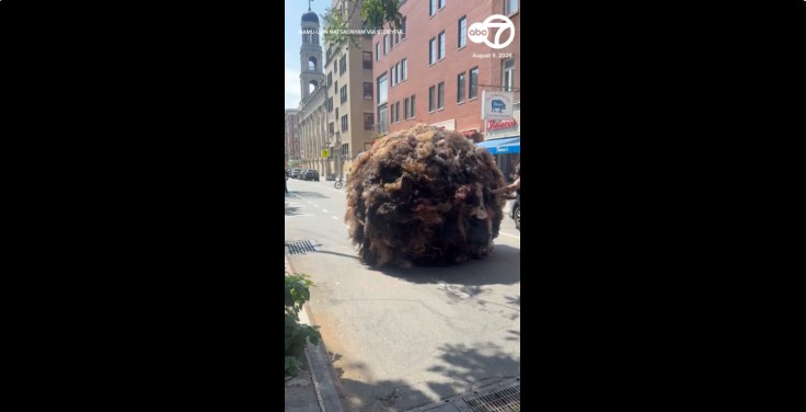 Onlookers puzzled as giant hairball rolled through NYC