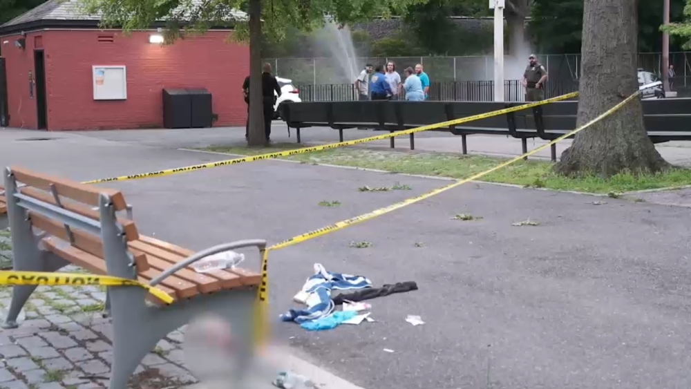 10-year-old girl may lose fingers after firework explodes in Staten Island park
