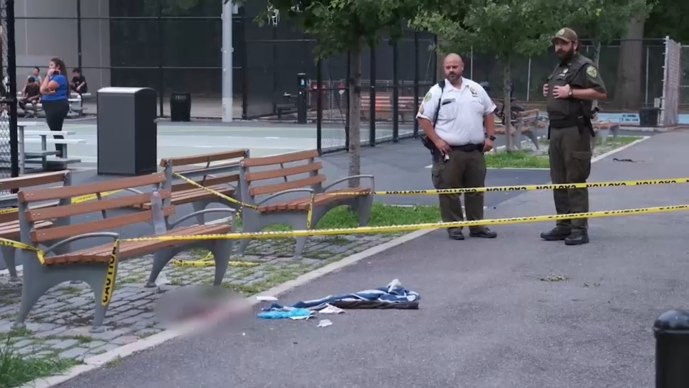 Girl loses fingers in firework blast; NYC Parks worker charged