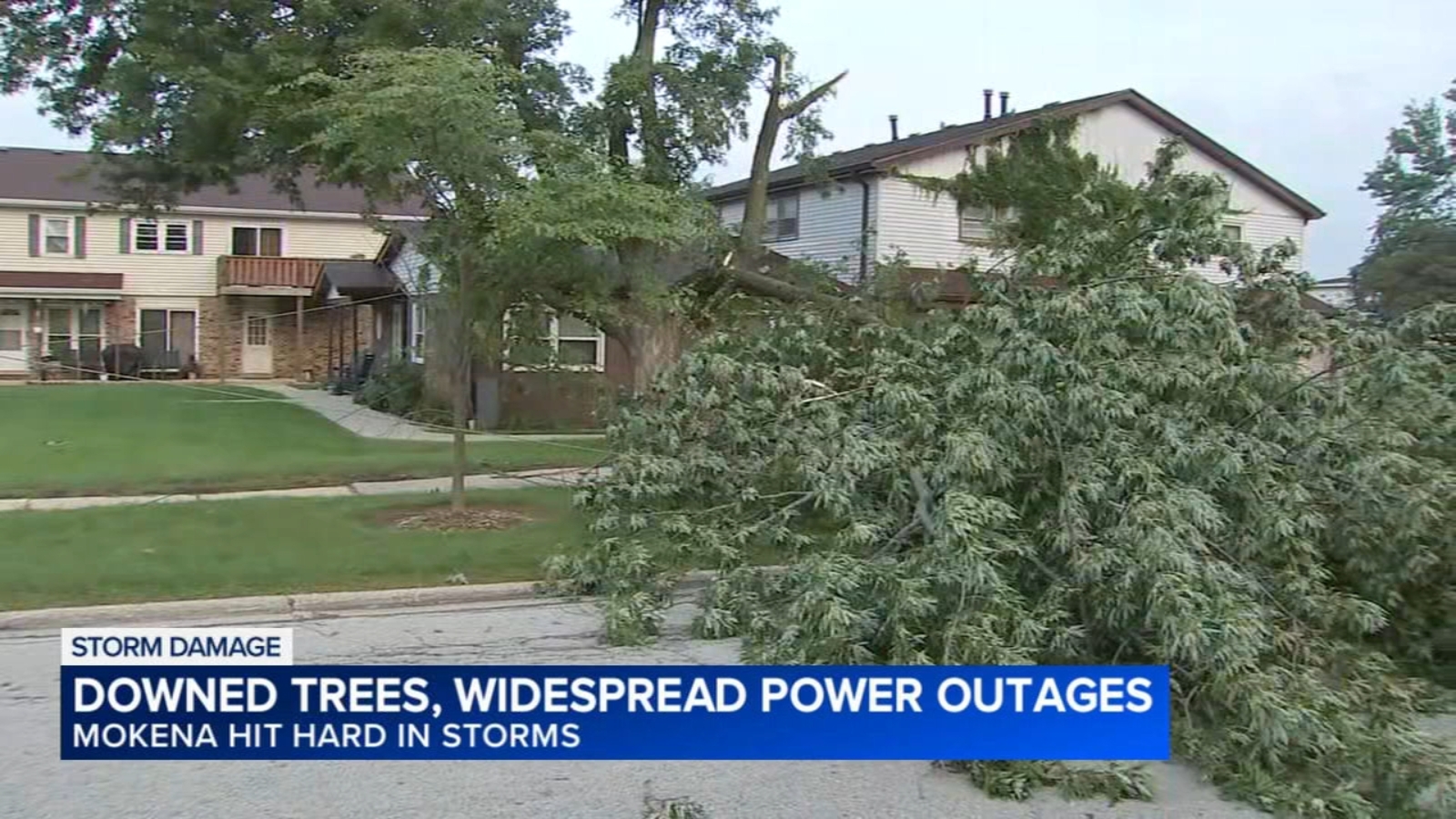 Clean up begins after at least 3 tornadoes, derecho hit south, southwest suburbs